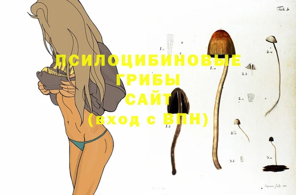 амф Абаза