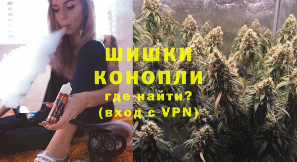 молекула духа Переславль-Залесский
