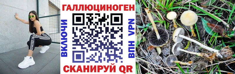 Псилоцибиновые грибы MAGIC MUSHROOMS  Зубцов 